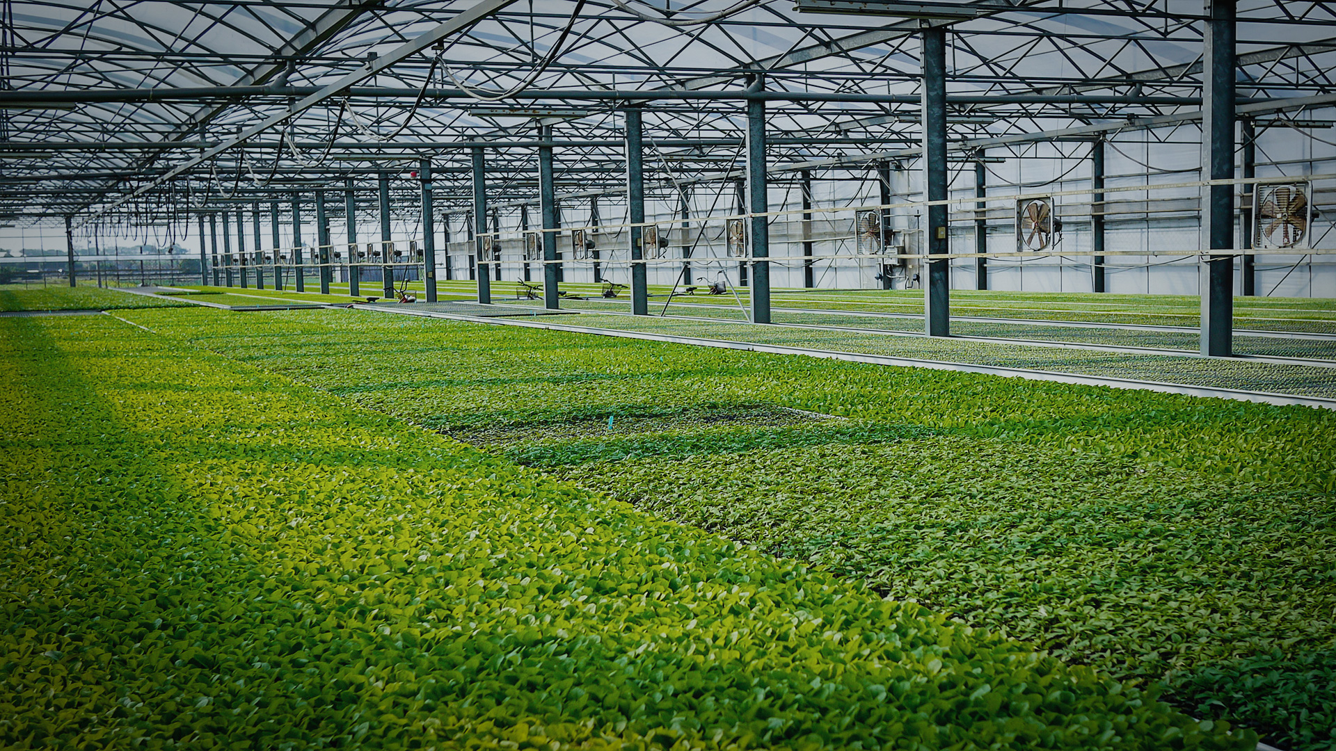 Greenhouse Integrated Systems