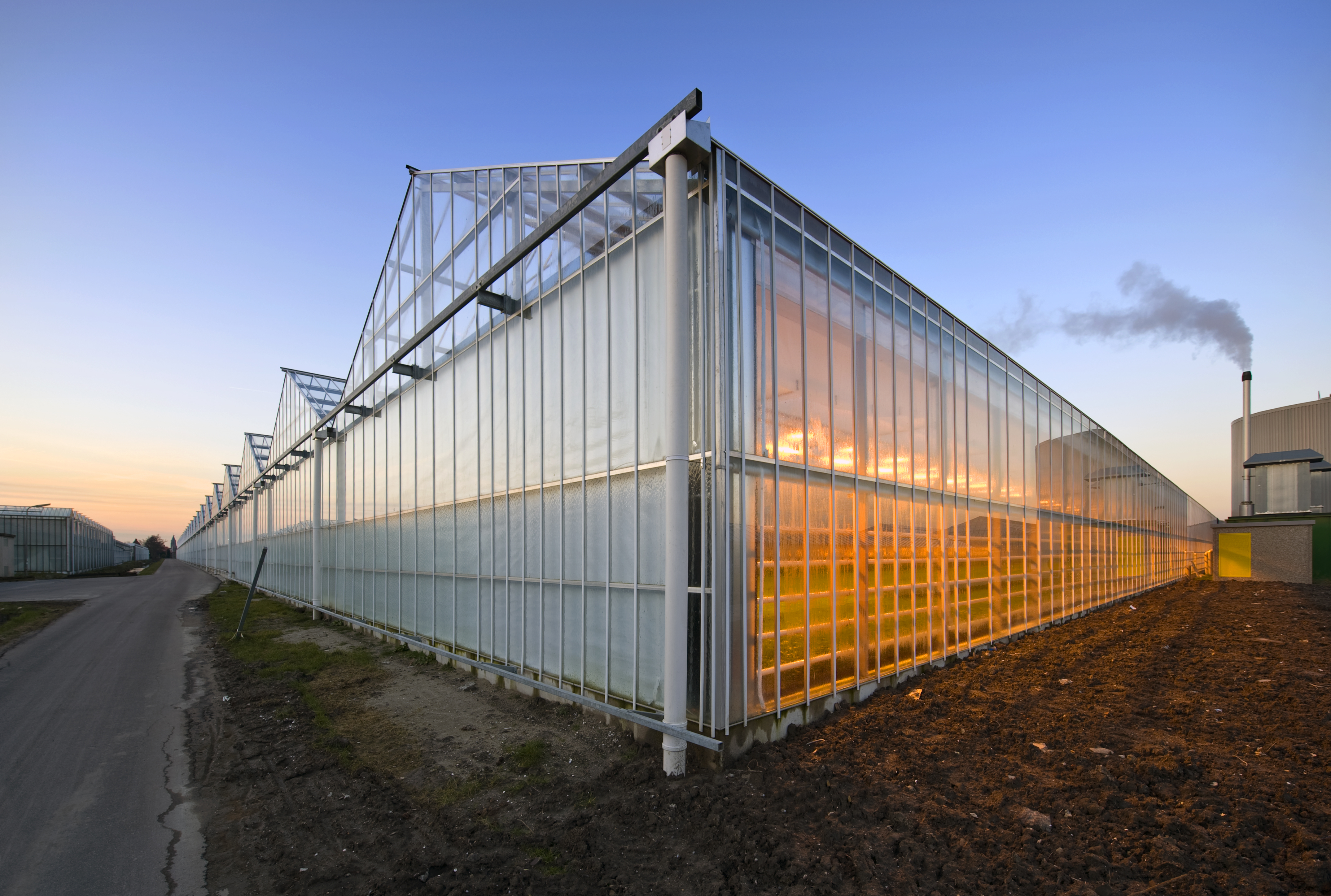 Large Glass Greenhouse